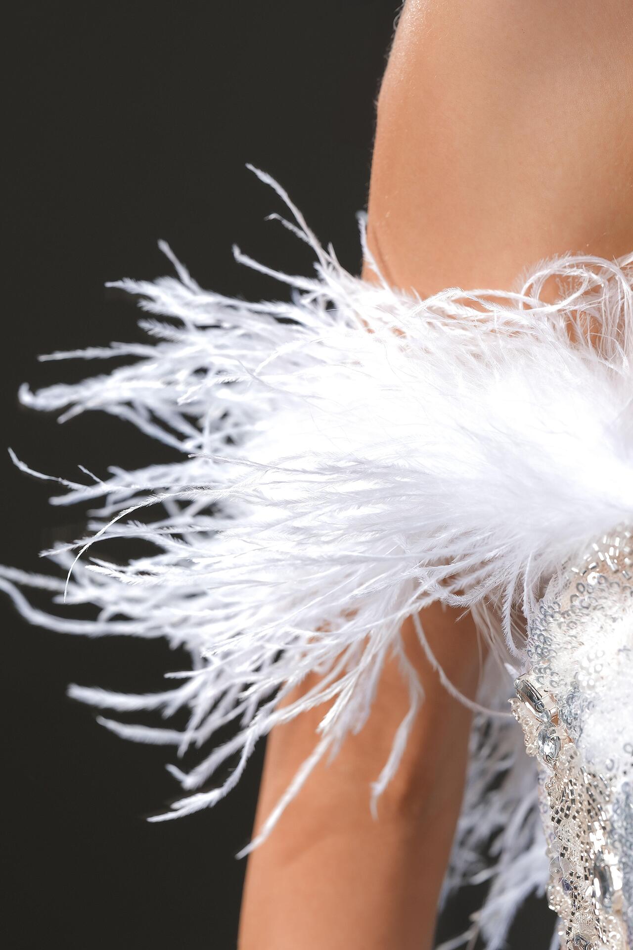 Luxurious short dress with feathers: Lolita
