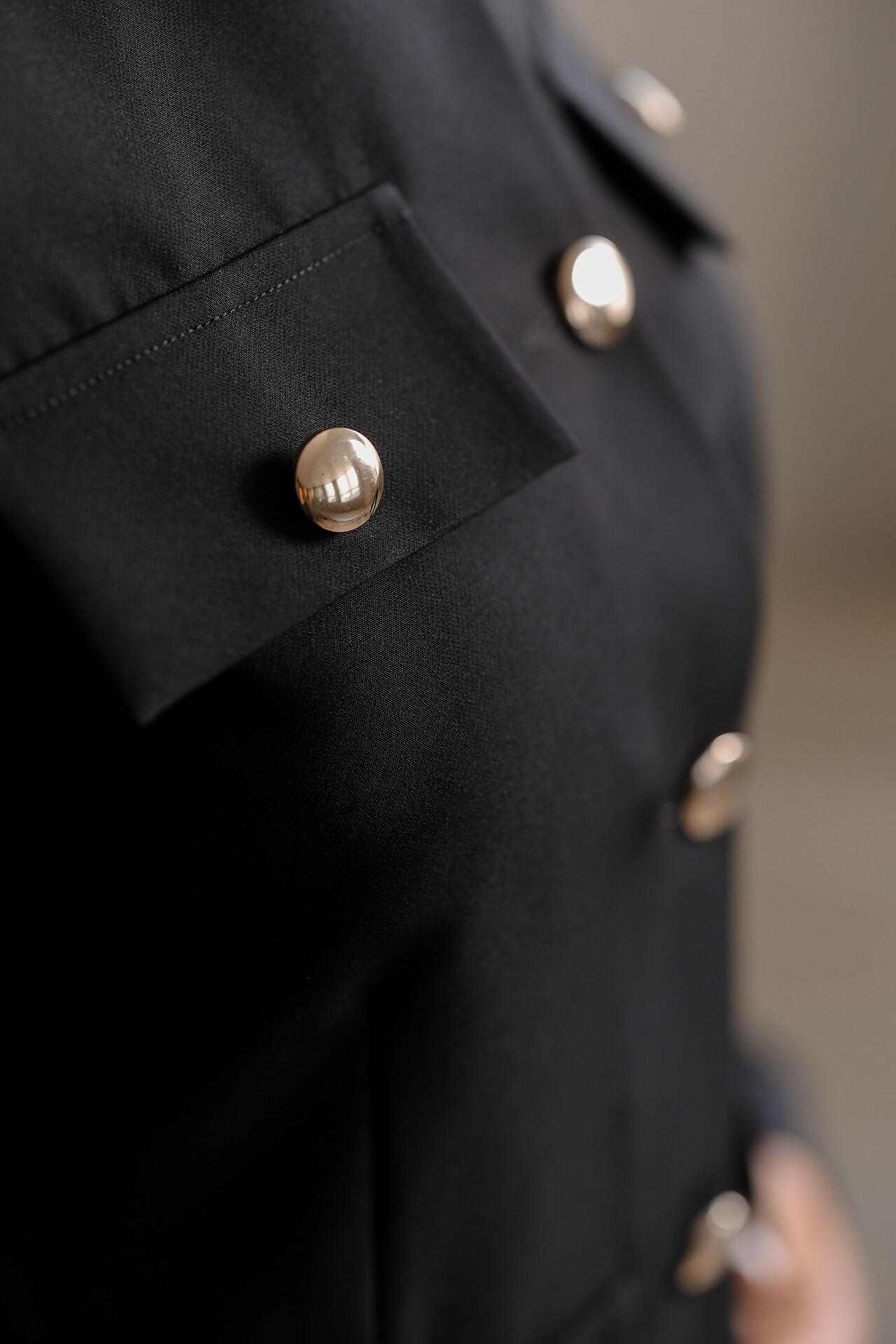 Jacket with gold buttons: Plams